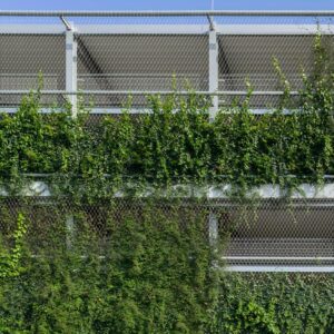 Rope Mesh for Green Wall