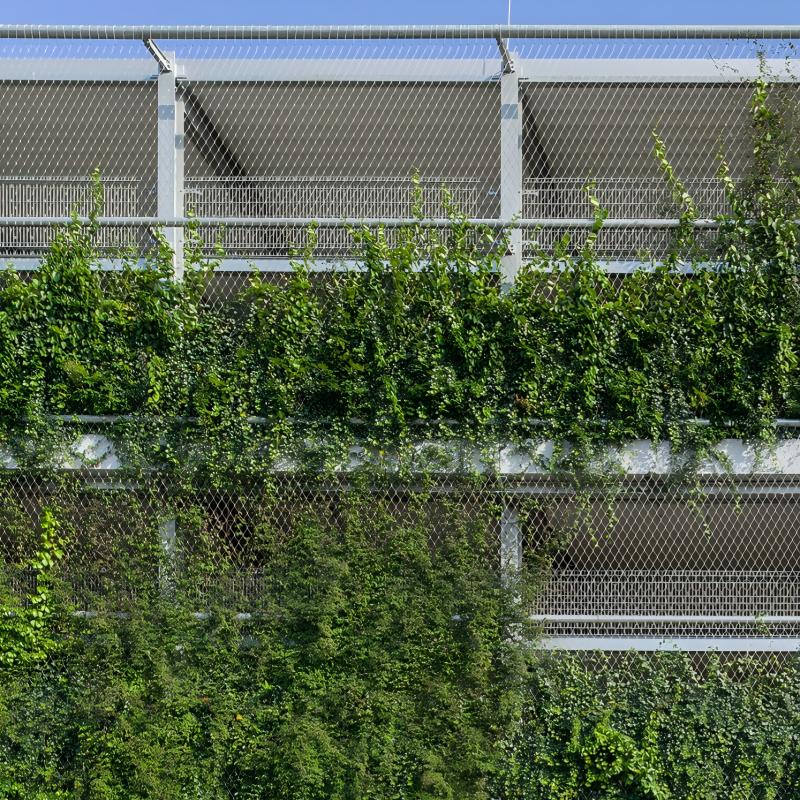 Rope Mesh for Green Wall