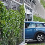 Stainless Steel Rope Net for Green Wall | Vertical Plant Climbing Mesh