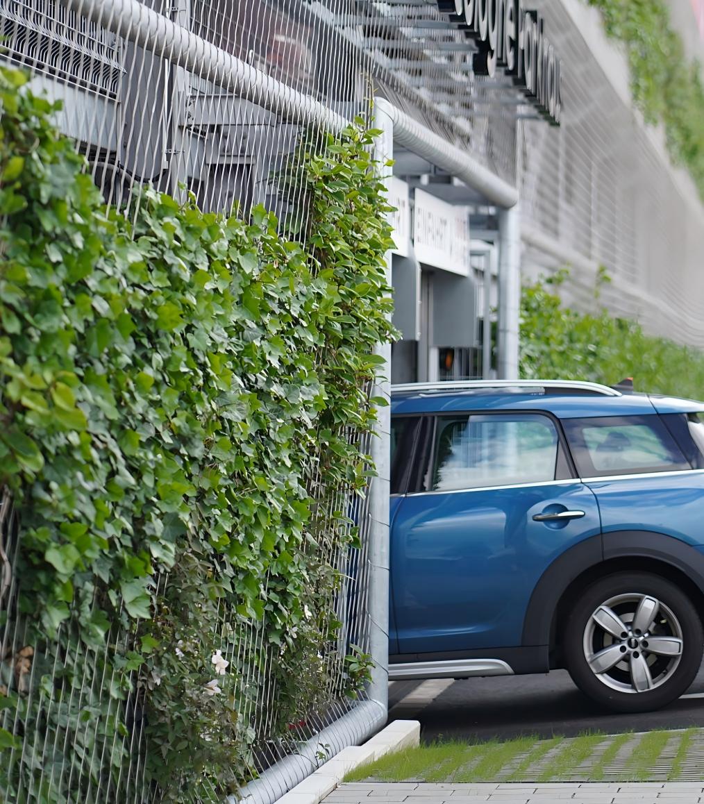 Stainless Steel Rope Net for Green Wall | Vertical Plant Climbing Mesh