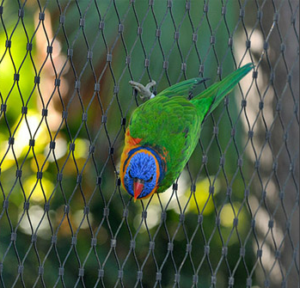 Stainless Steel Rope Mesh for Aviary